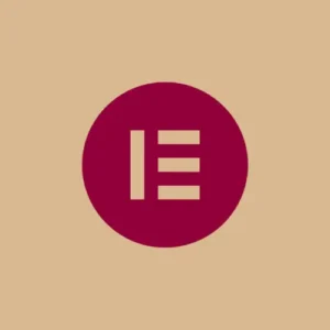 Logo of Elementor, Expertise of Digital Marketing Expert in Kollam.
